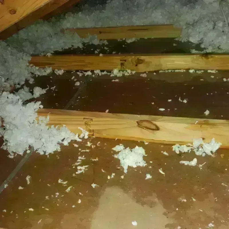 Attic Water Damage in Menard County, TX